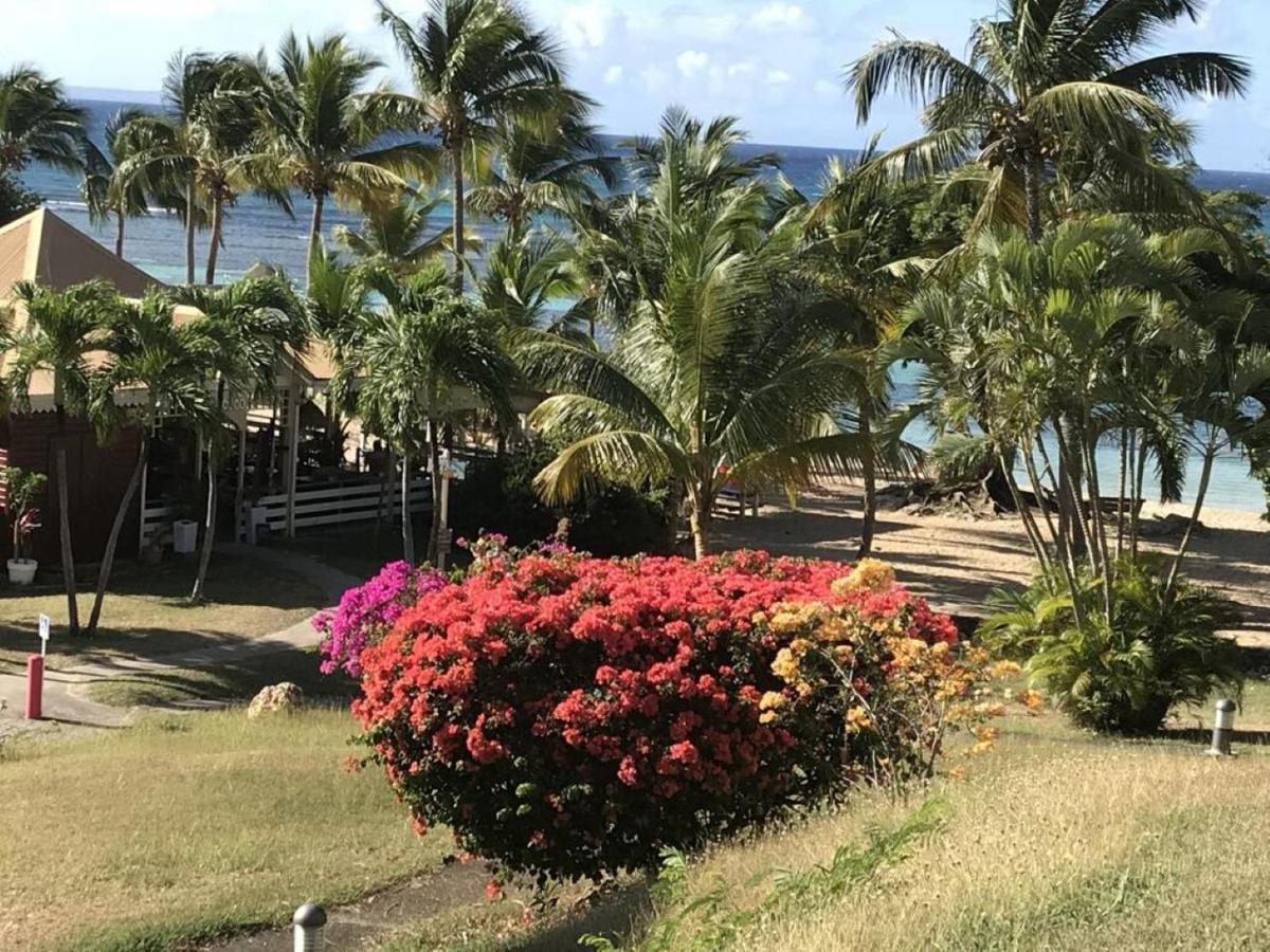 Studio Mojito vue mer av cuve eau et accès plage et piscine ANSE DES ROCHERS Saint-Francois  Esterno foto