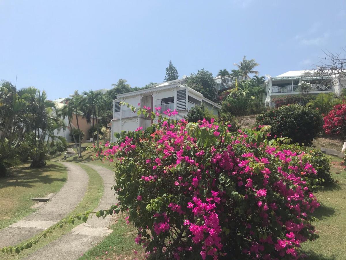 Studio Mojito vue mer av cuve eau et accès plage et piscine ANSE DES ROCHERS Saint-Francois  Esterno foto