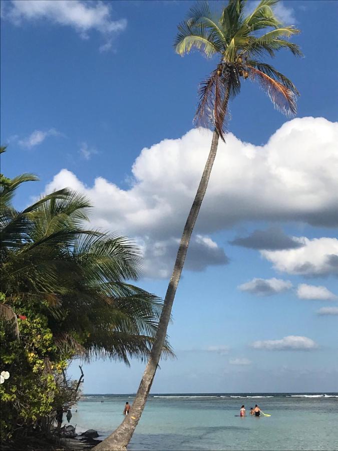 Studio Mojito vue mer av cuve eau et accès plage et piscine ANSE DES ROCHERS Saint-Francois  Esterno foto